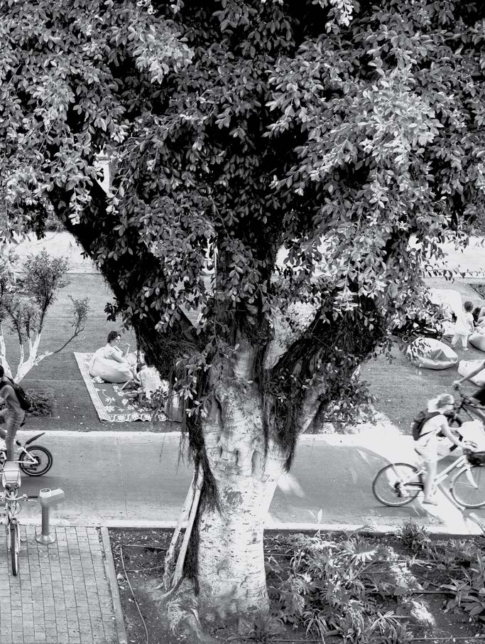 רוטשילד 87 — גלריית הפרויקט 4